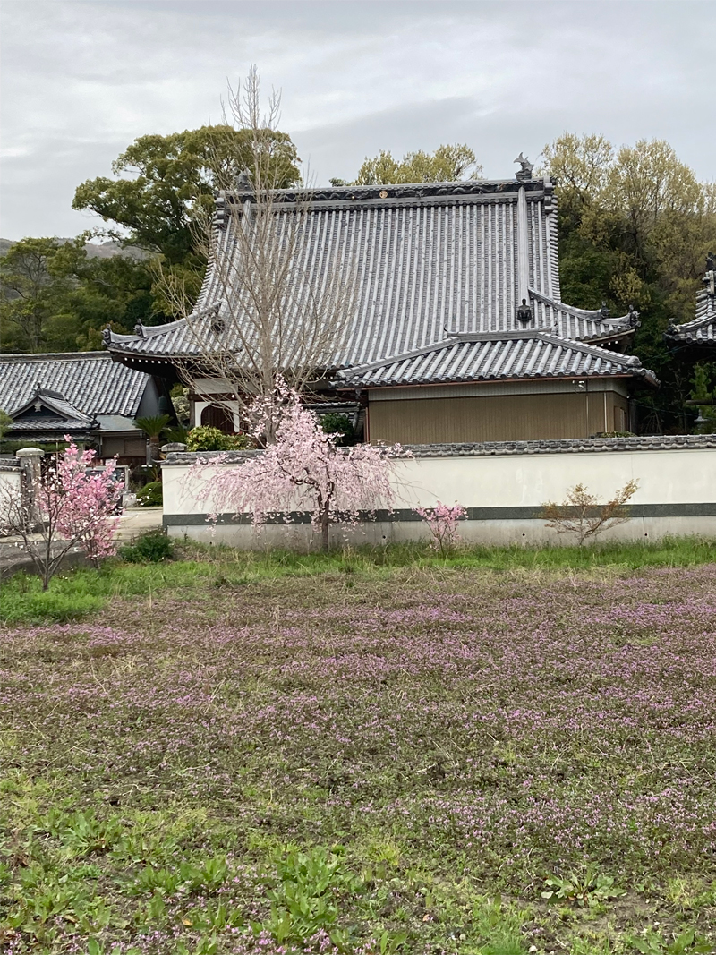 焼失前の寺の様子